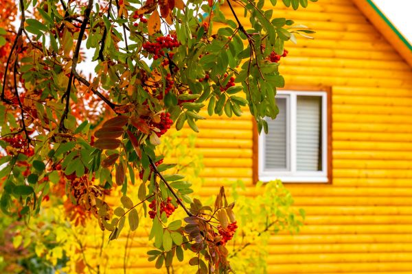 Garden Window Replacement in Grand Blanc